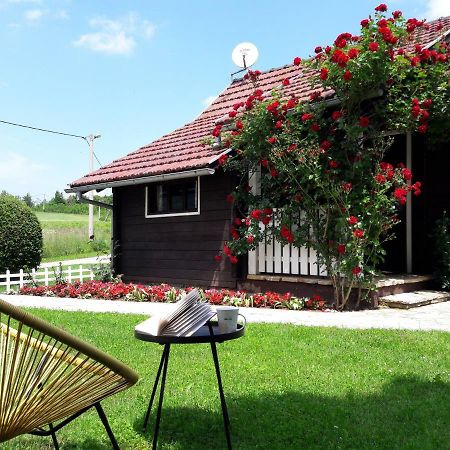 Wooden House Nela Near Plitvice Lakes Смолянац Экстерьер фото